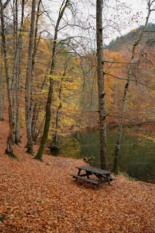 a bench sitting in the middle of a forest filled with leaves