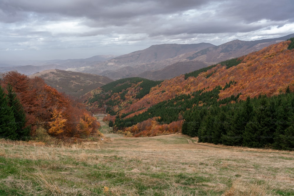 a view of a mountain range with trees in the foreground