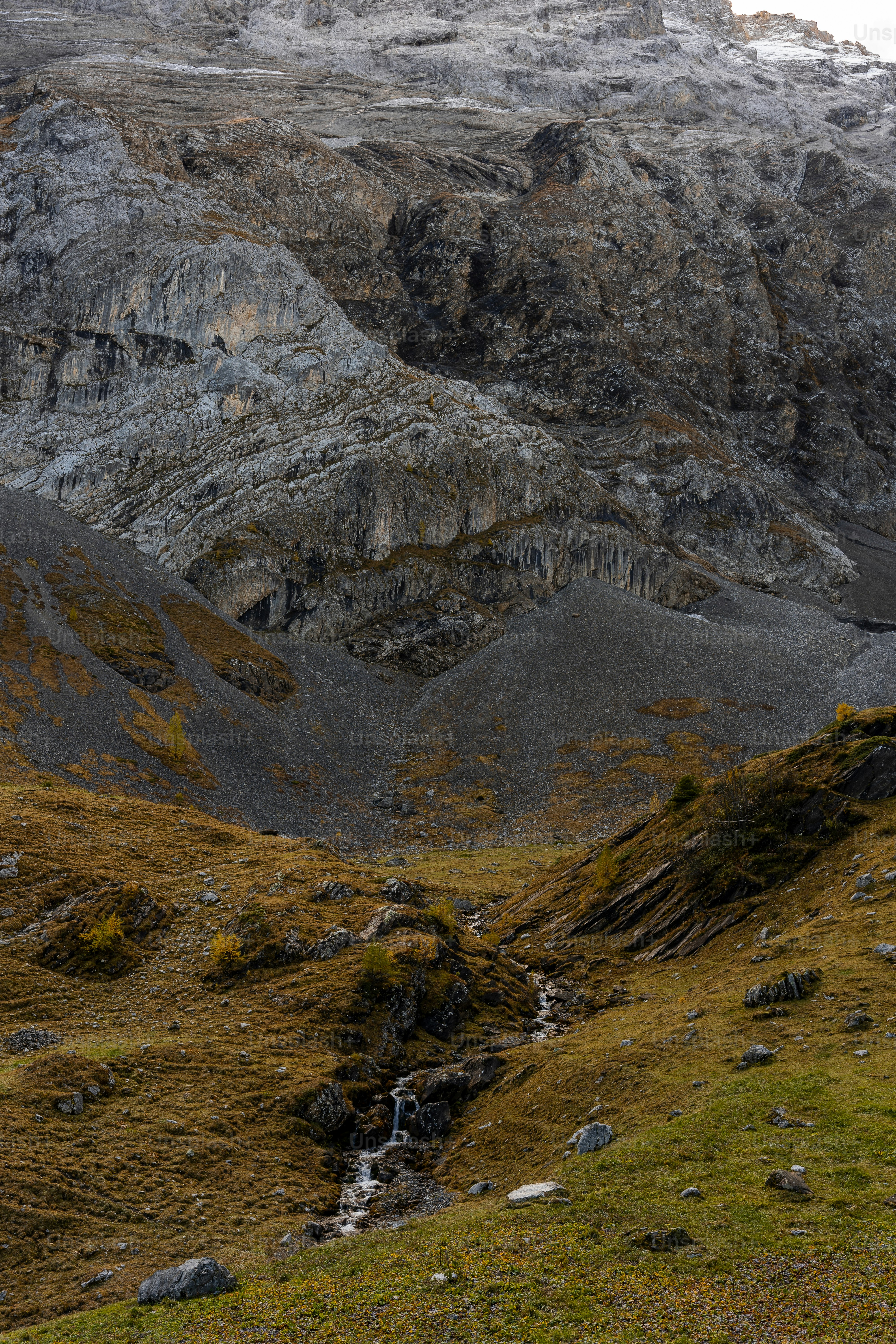 a couple of sheep standing on top of a lush green hillside