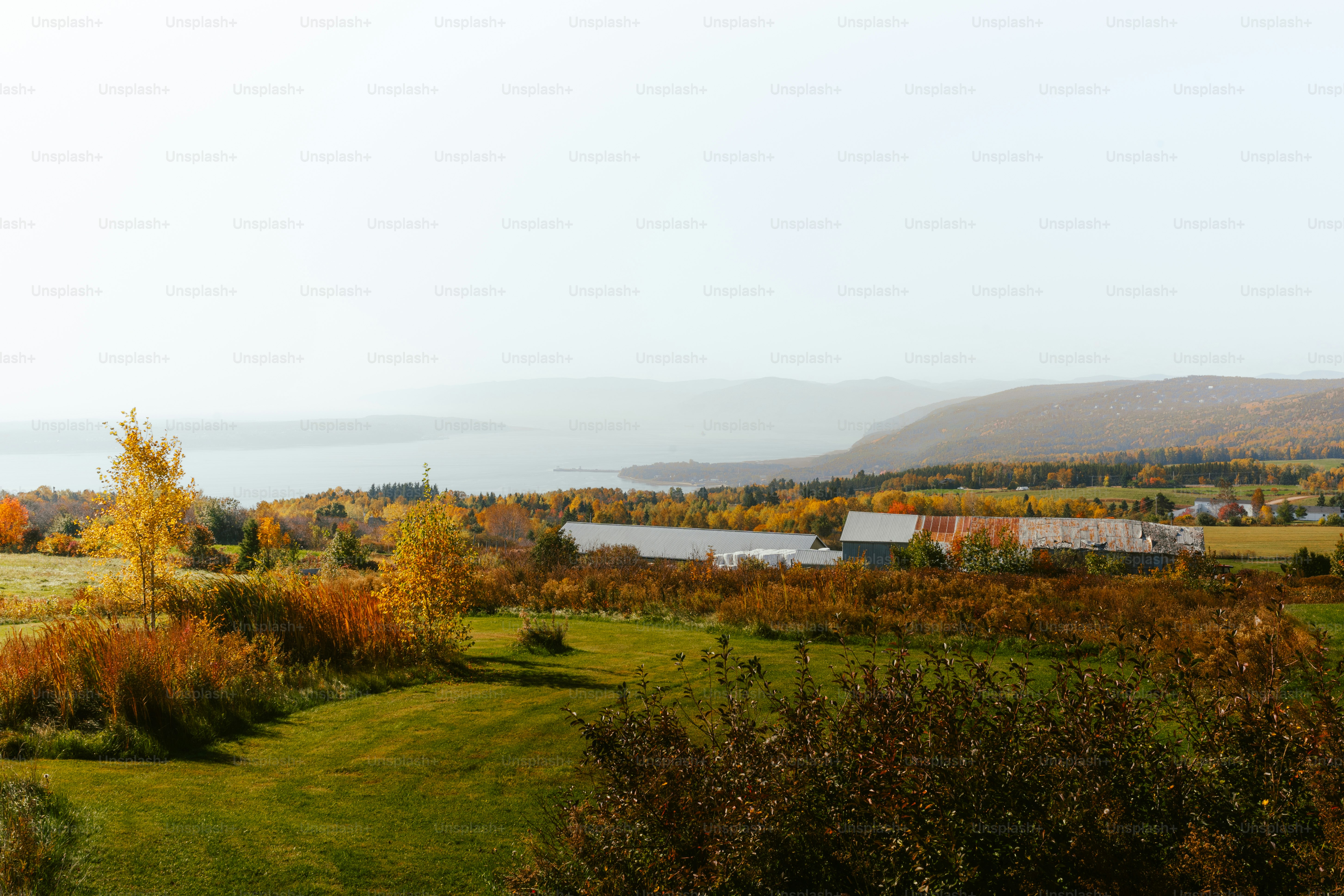 a field with a house and a lake in the background