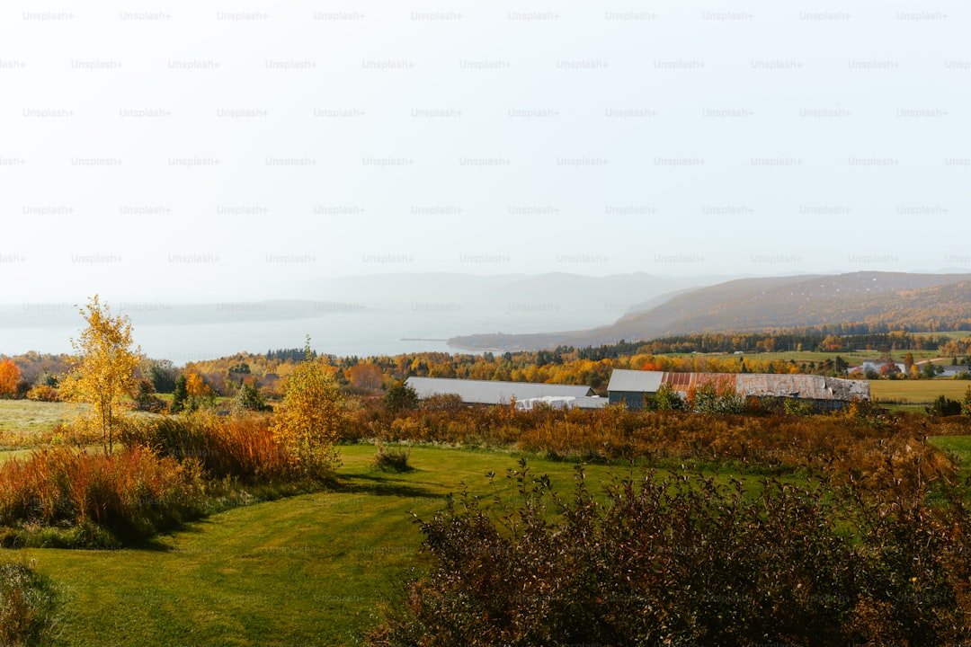 a field with a house and a lake in the background