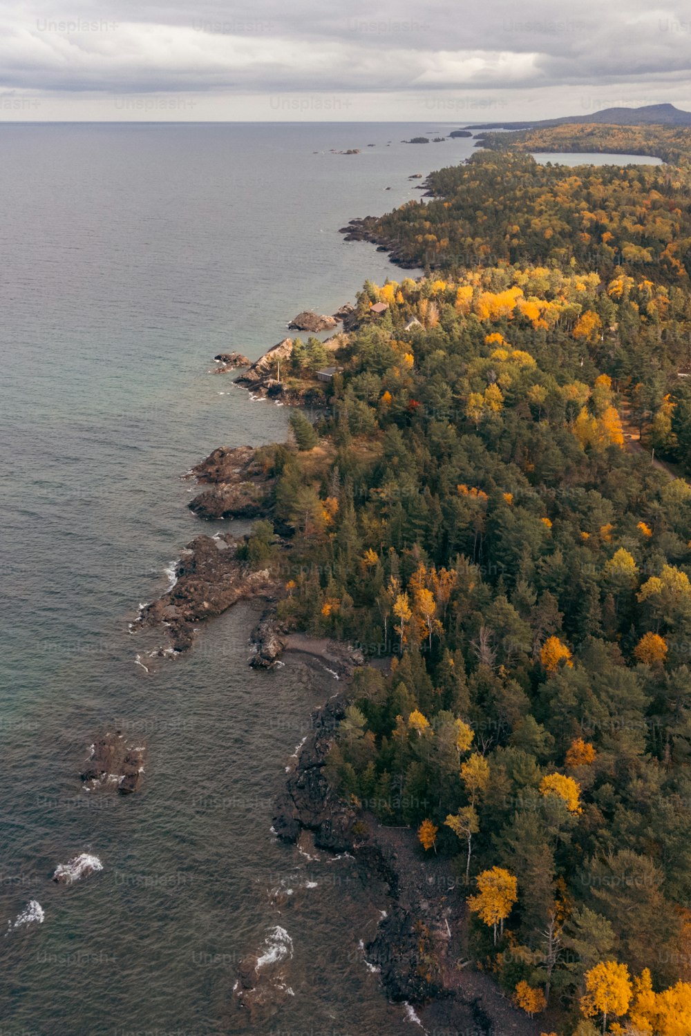 a large body of water surrounded by trees