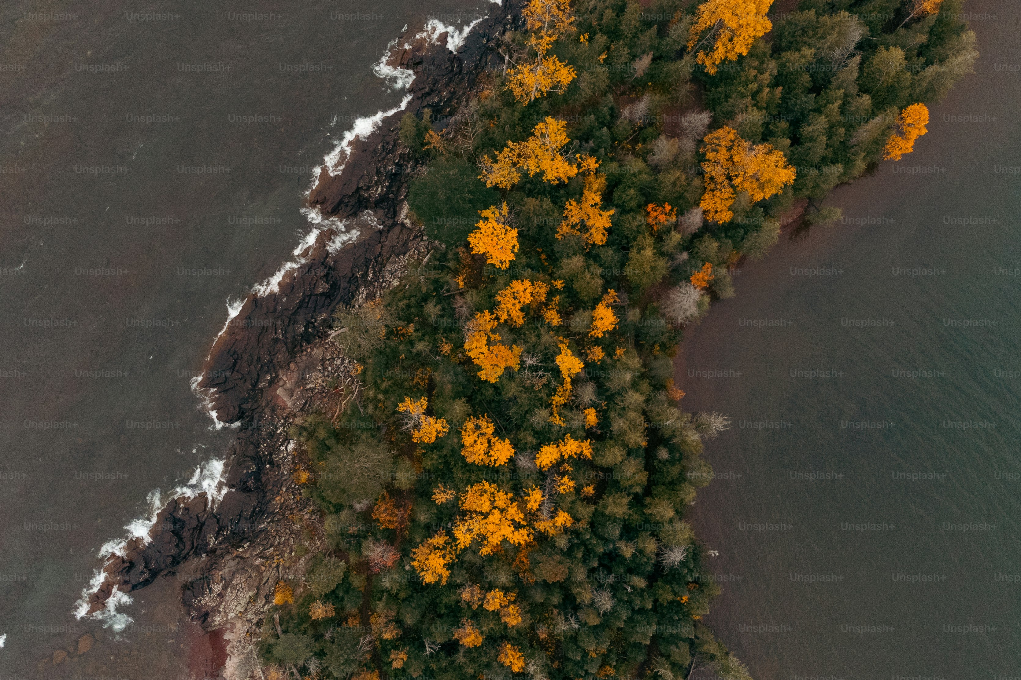 An aerial view of a lake surrounded by trees photo – Autumn Image on ...