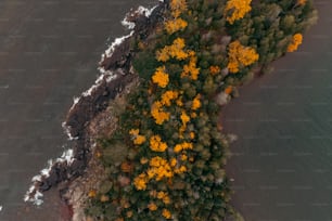 an aerial view of a lake surrounded by trees