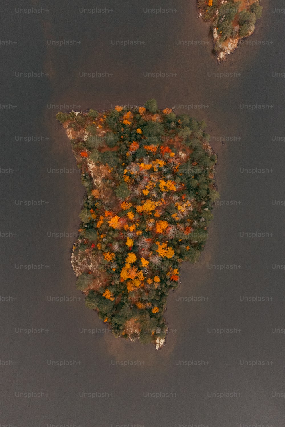 Una veduta aerea di un'isola nell'acqua