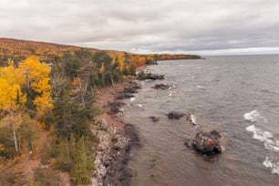 an aerial view of a rocky shoreline with trees in the background