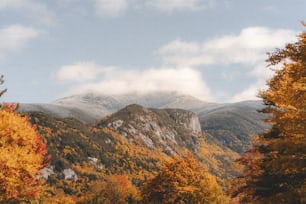 una vista di una catena montuosa con alberi in primo piano