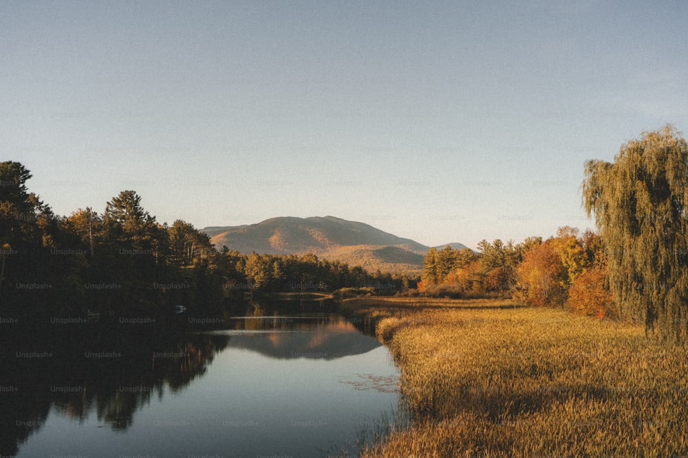 a body of water surrounded by trees and mountains