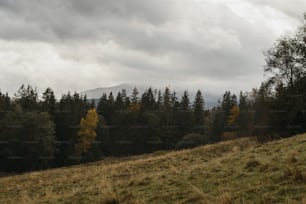 a grassy field with trees and mountains in the background