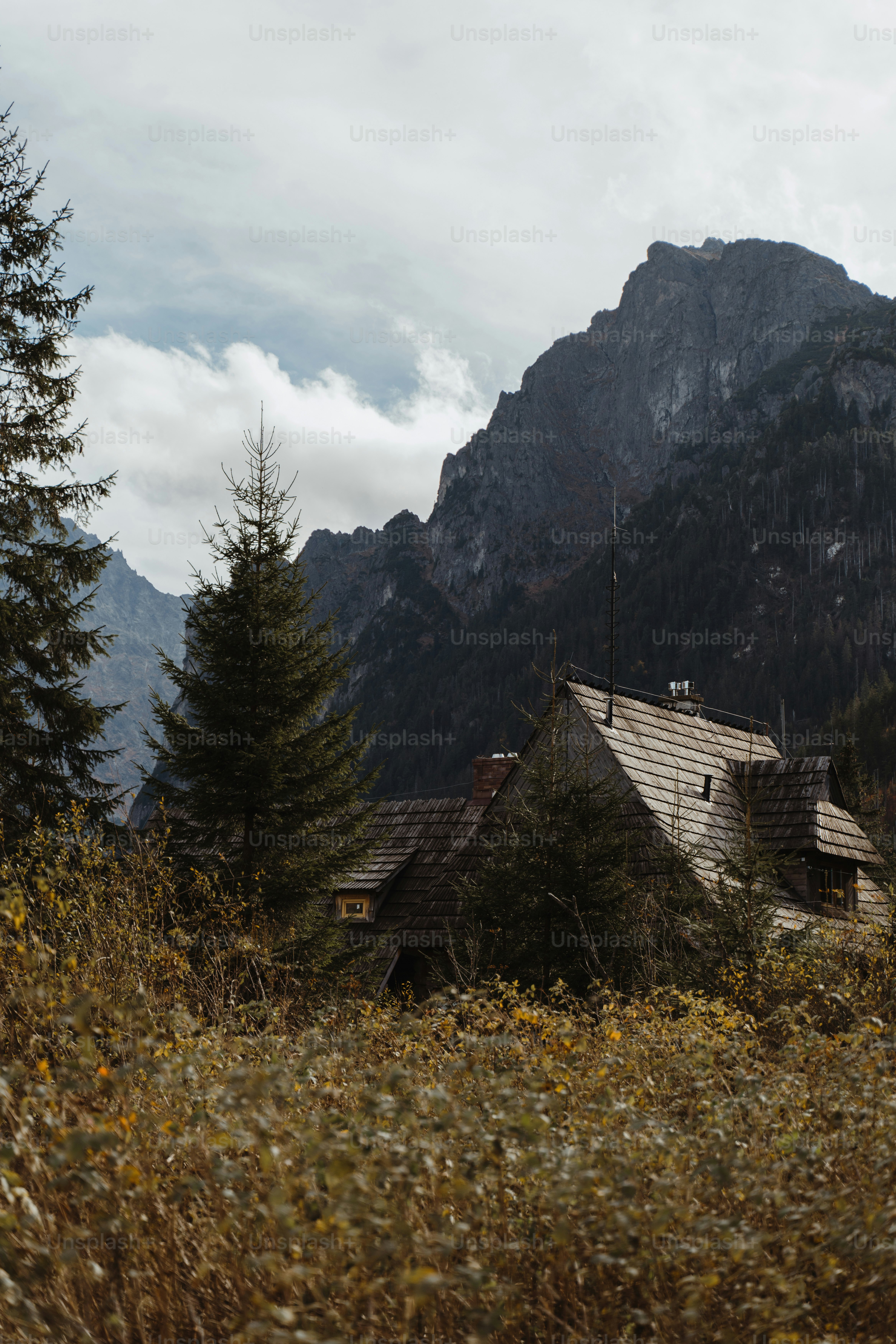 a house in the middle of a field with mountains in the background