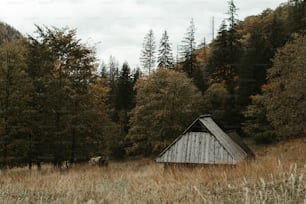 a cabin in the middle of a field with trees in the background