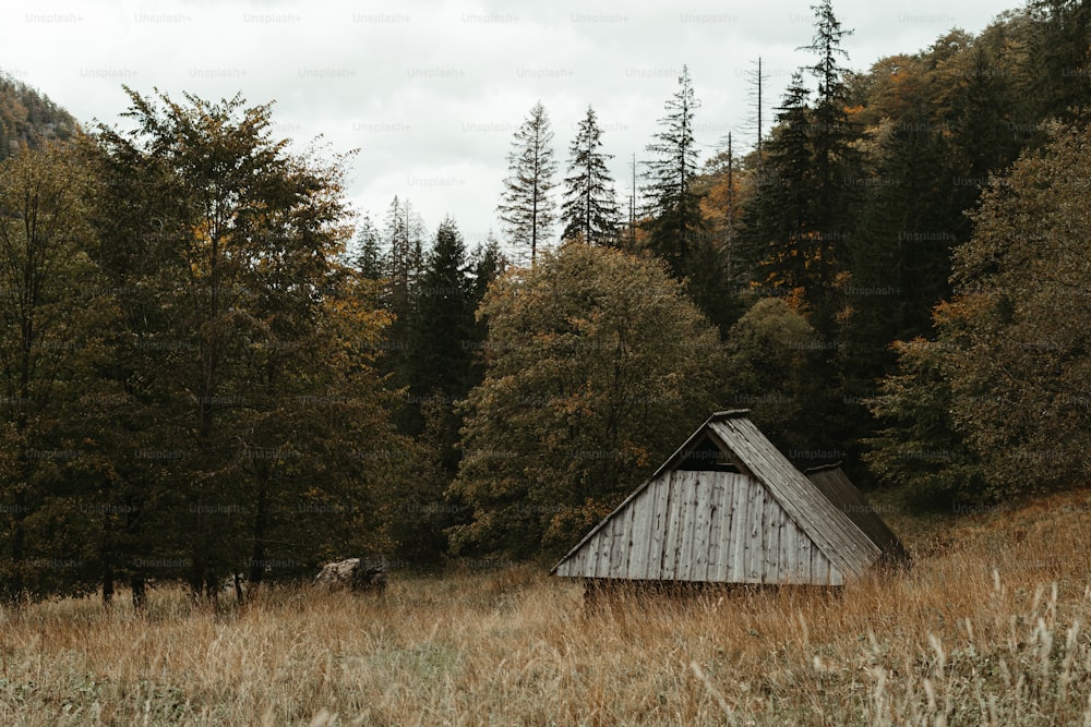 a cabin in the middle of a field with trees in the background