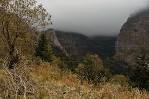 a view of a mountain range with trees in the foreground