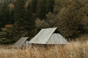 una estructura de madera en un campo con árboles al fondo