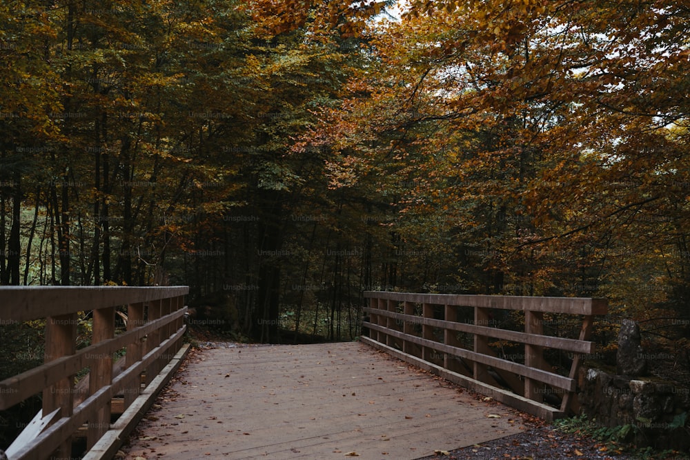 Un pont en bois au milieu d’une forêt