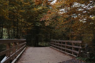 a wooden bridge in the middle of a forest