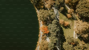 an aerial view of a lake surrounded by trees