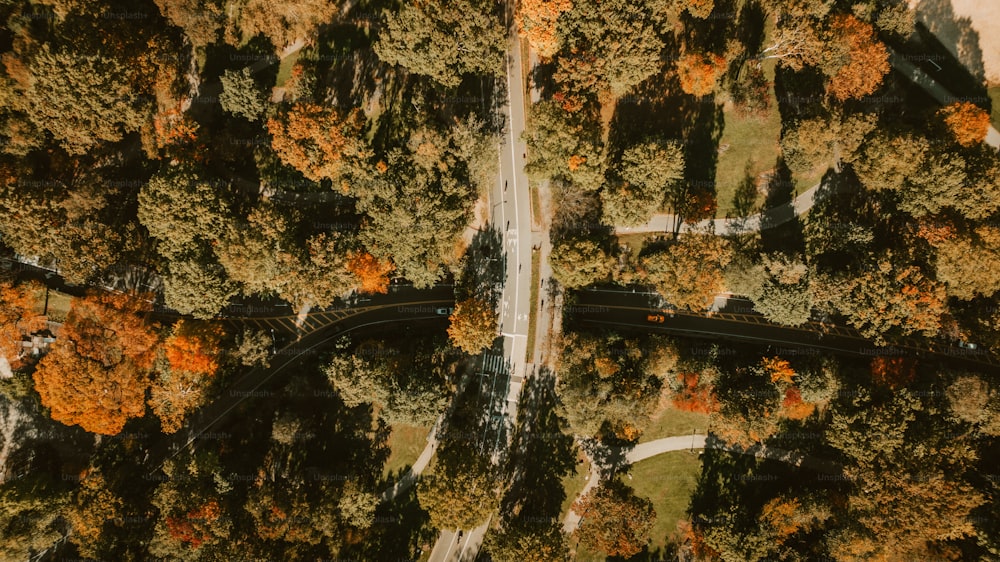 an aerial view of a road surrounded by trees