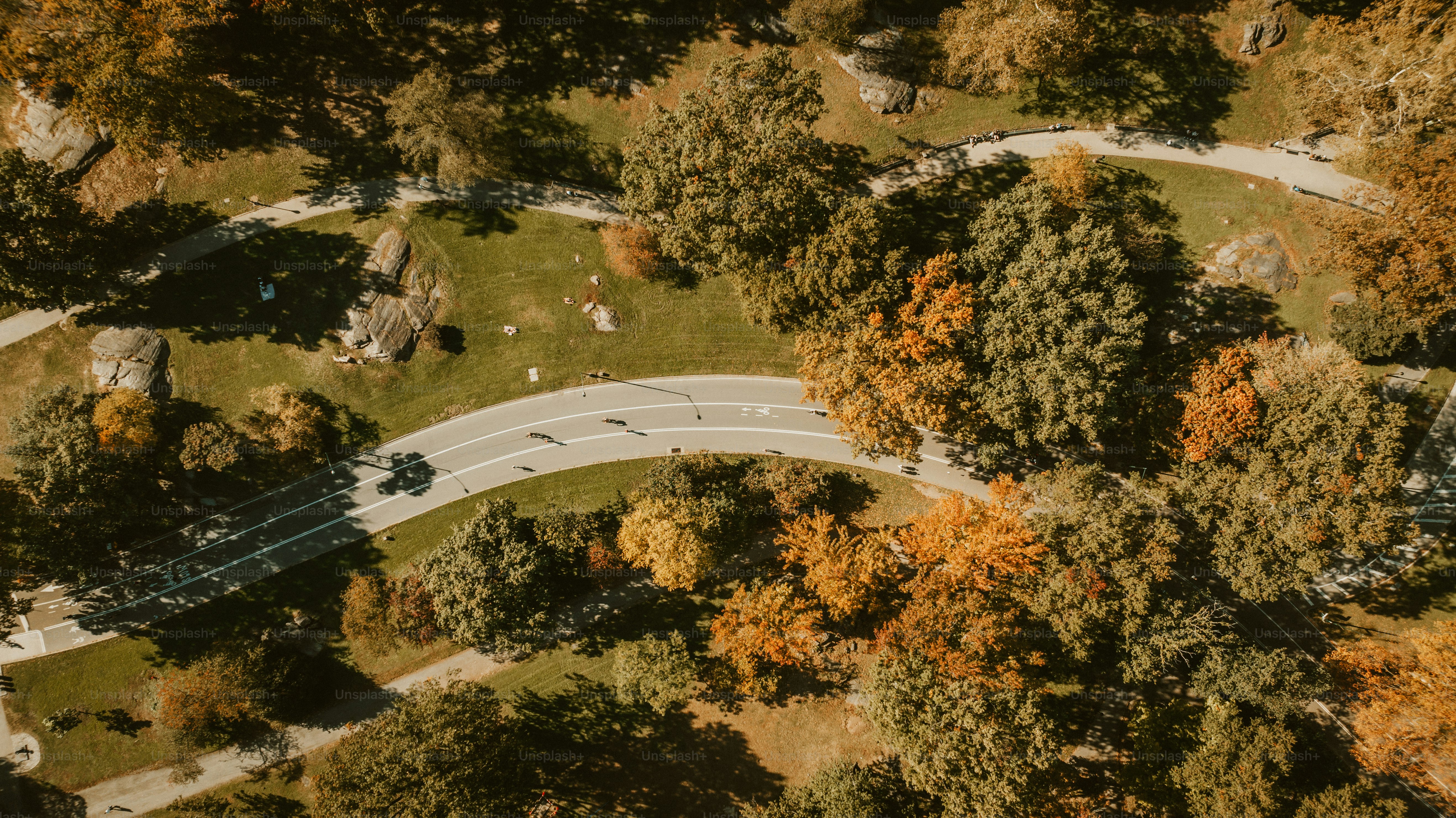 premium_photo-1698368592748-9504a75cf030