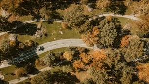 an aerial view of a road surrounded by trees