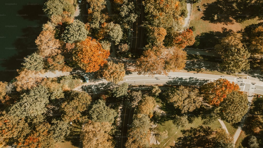 Una vista aérea de una carretera rodeada de árboles