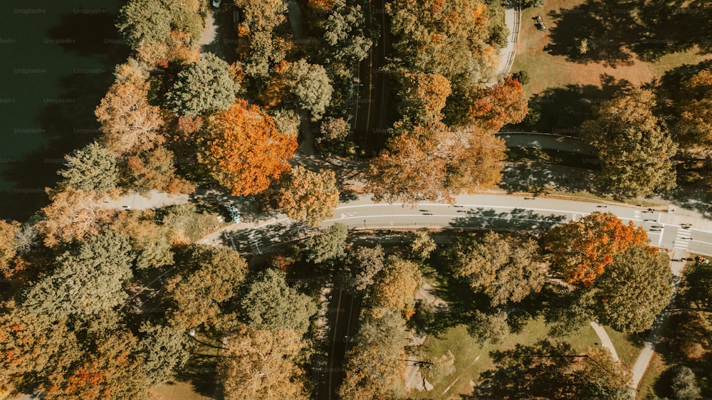 an aerial view of a road surrounded by trees