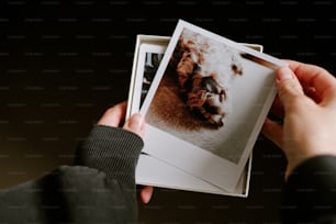 une personne tenant une photo d’un chien