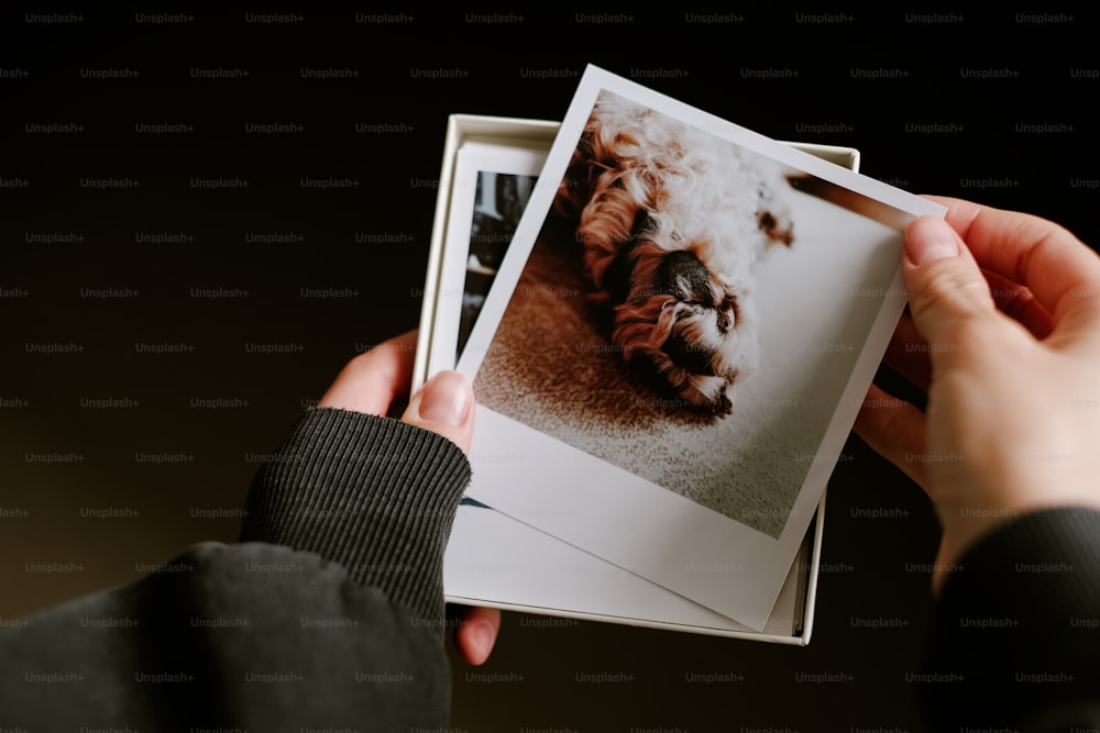 una persona che tiene in mano l'immagine di un cane