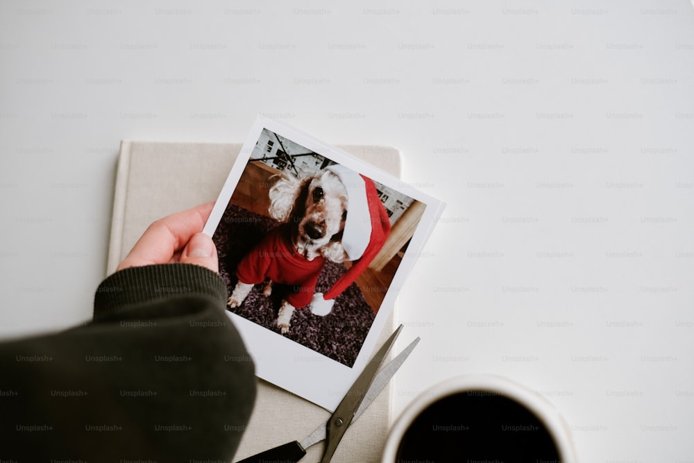a person holding a photo of a dog in a sweater