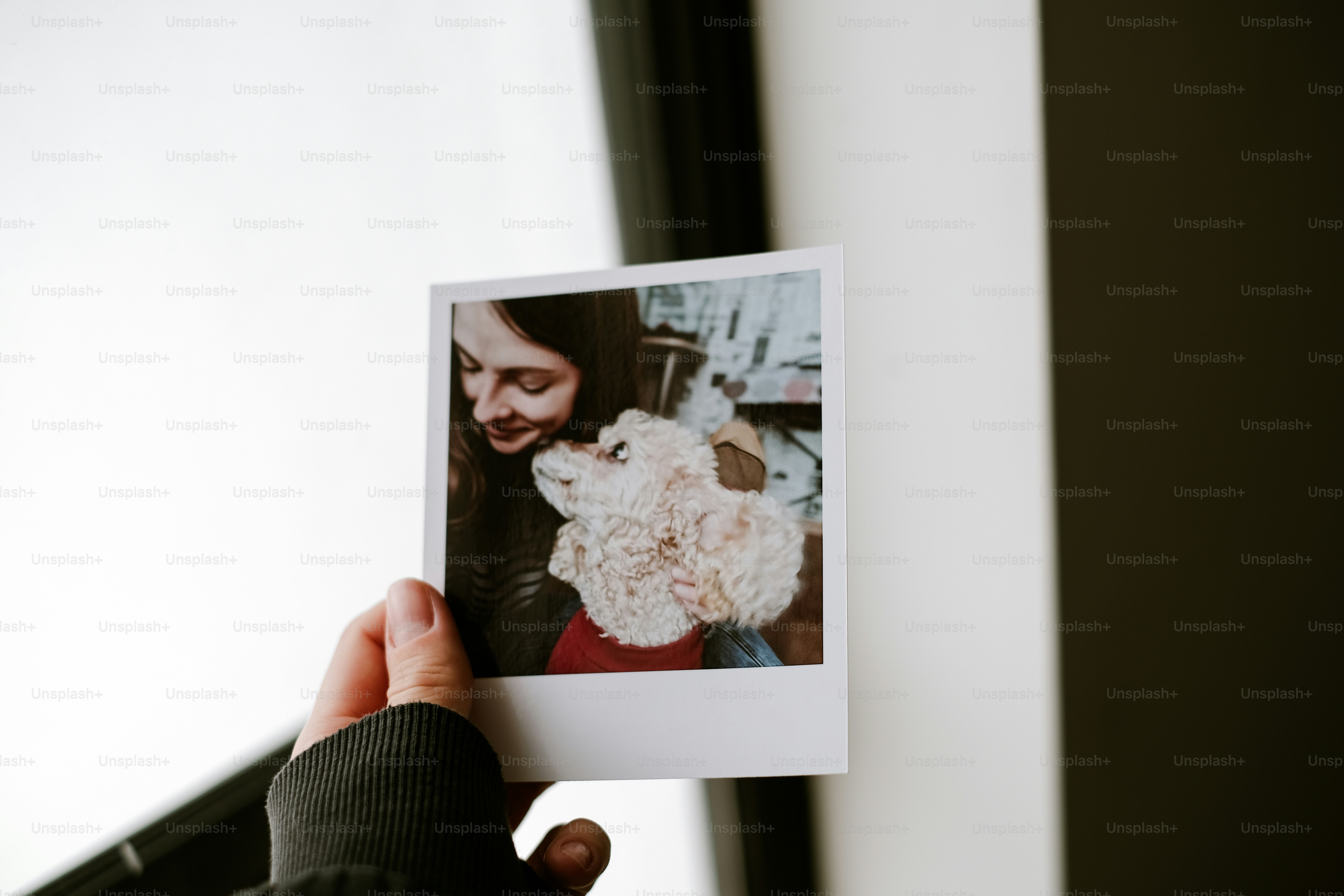 uma pessoa segurando uma imagem polaroid de um cão