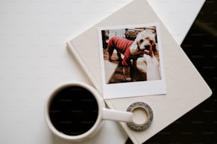 a photo of a dog wearing a sweater next to a cup of coffee