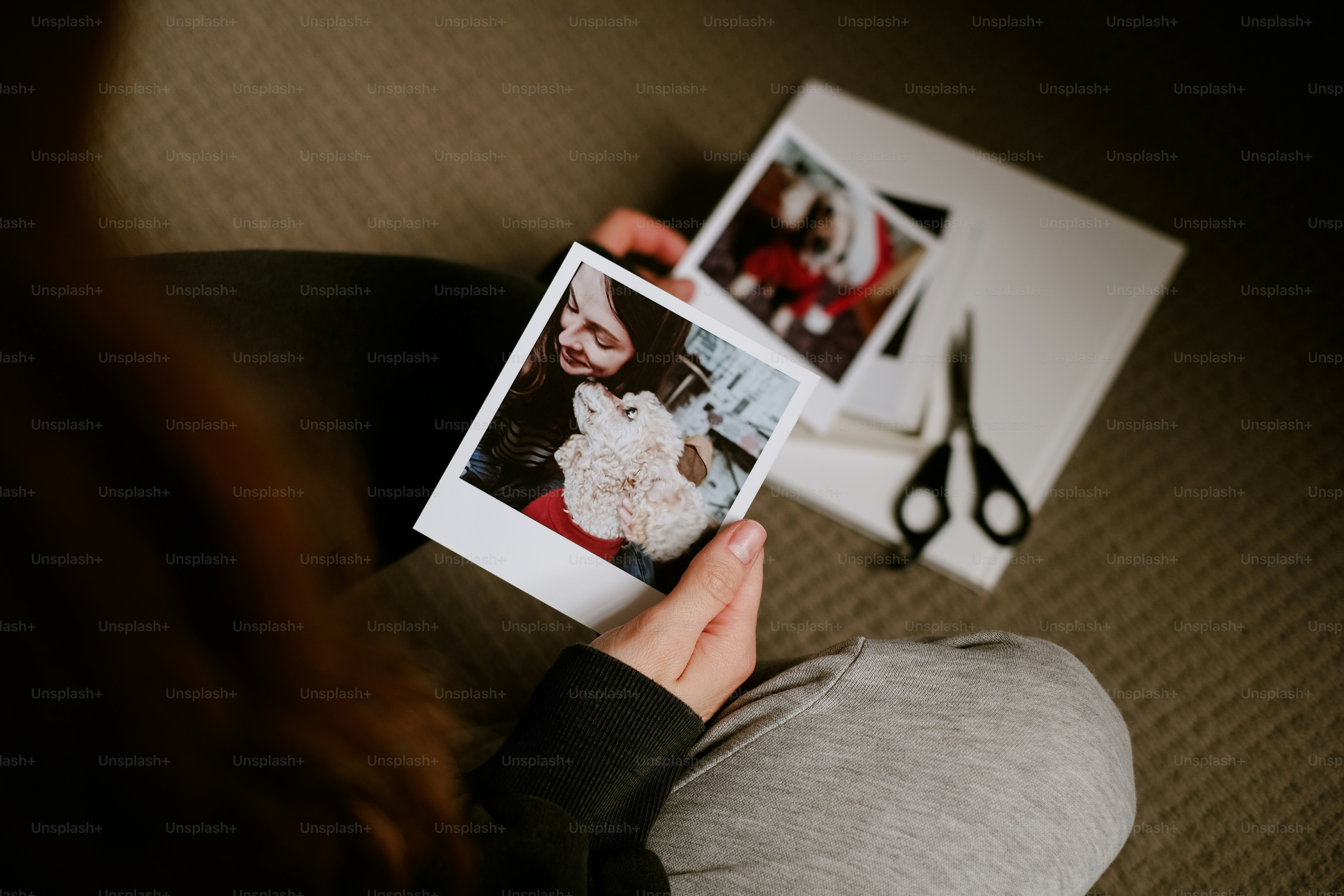 uma pessoa segurando uma polaroid com uma foto de um cão