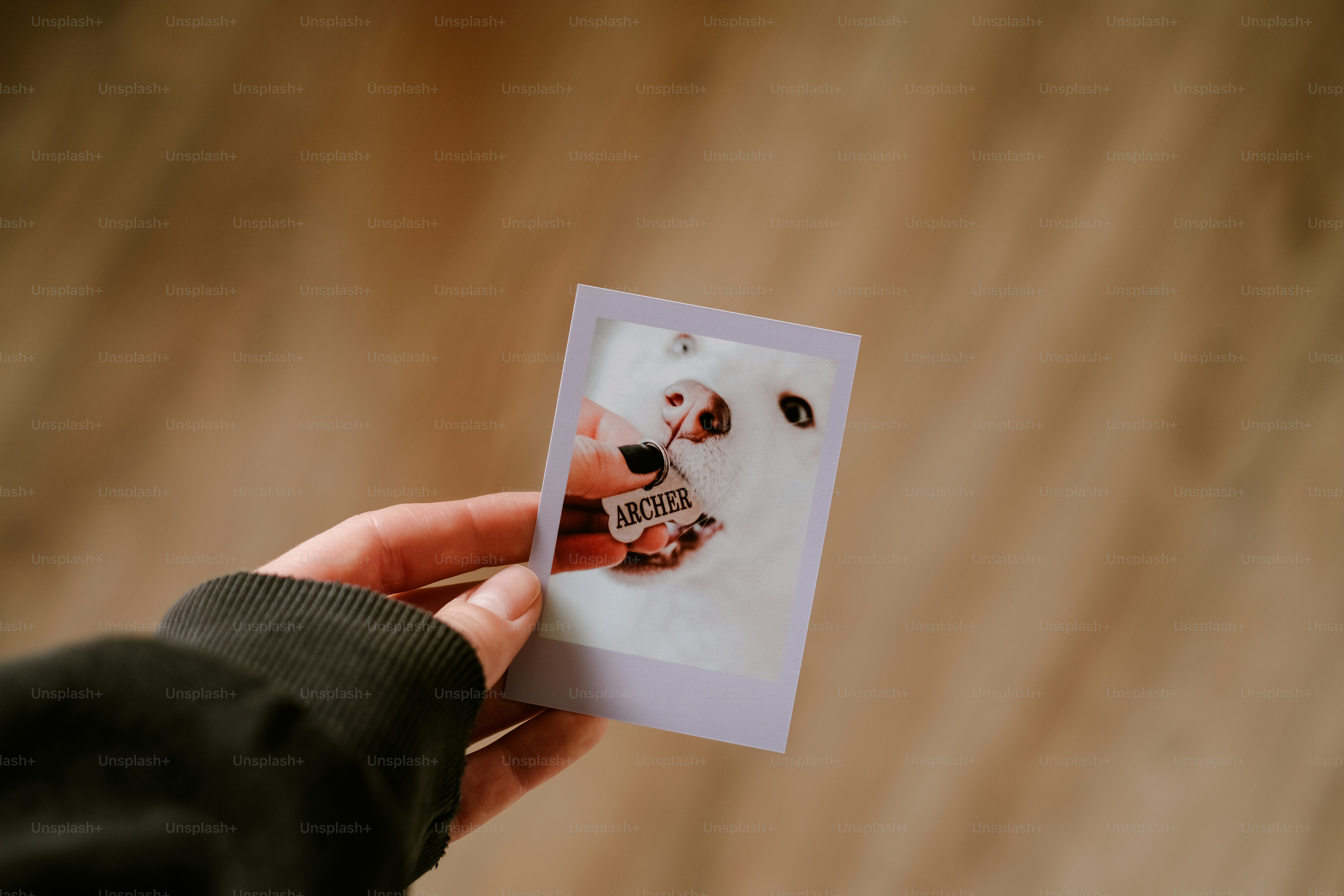 a person holding up a polaroid picture of a dog