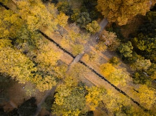 an aerial view of a road surrounded by trees