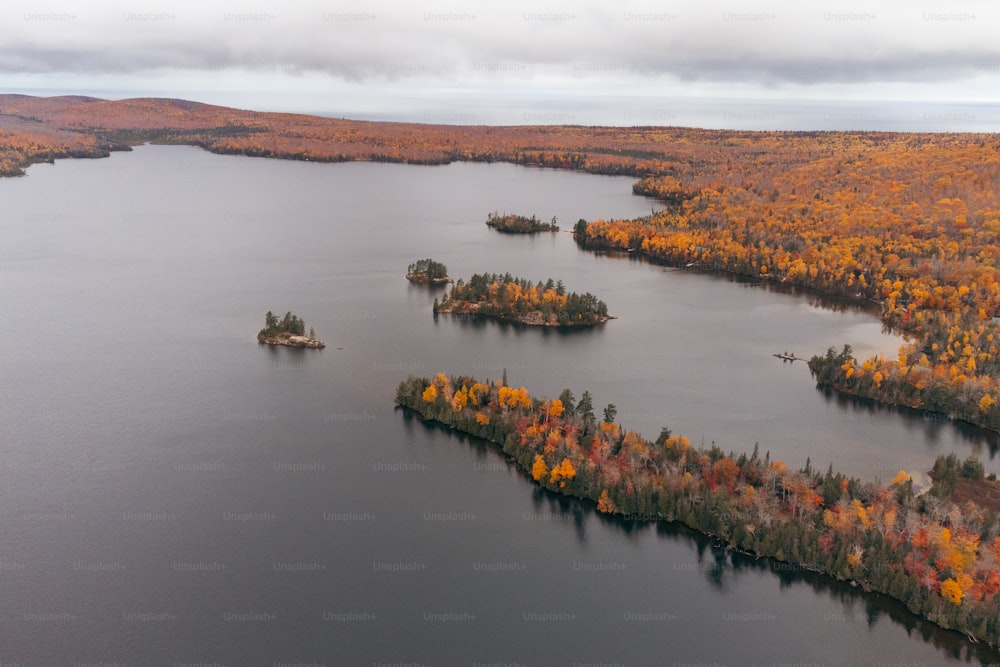 a large body of water surrounded by lots of trees