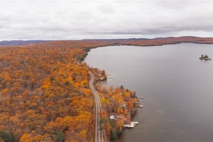 an aerial view of a lake surrounded by trees