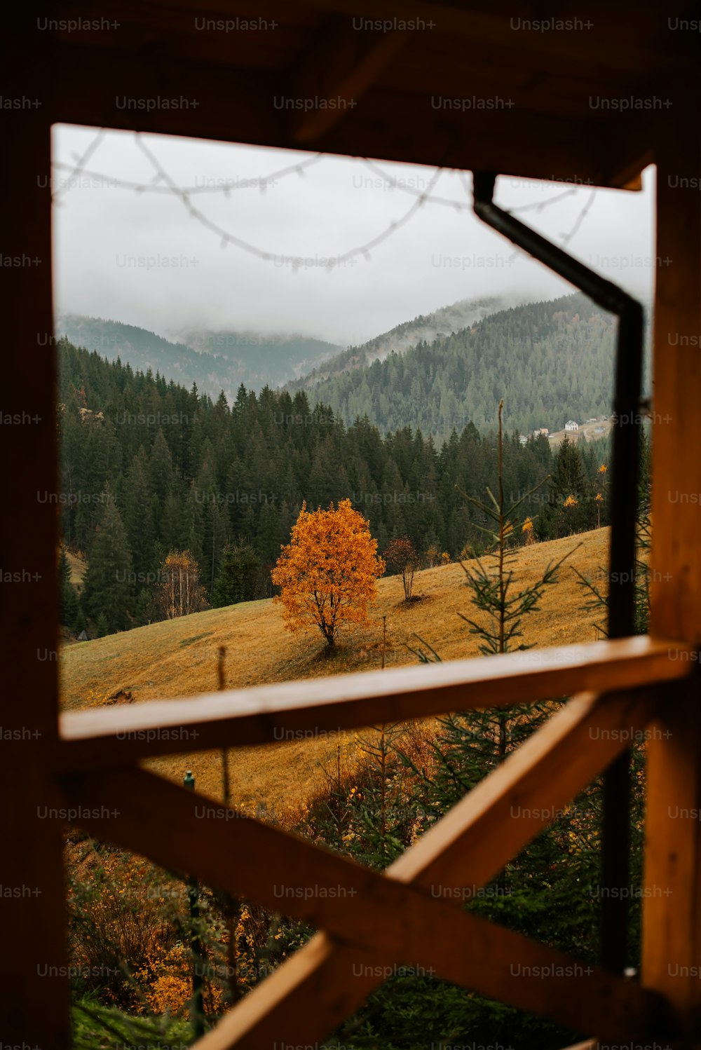 Una vista de un campo a través de una ventana