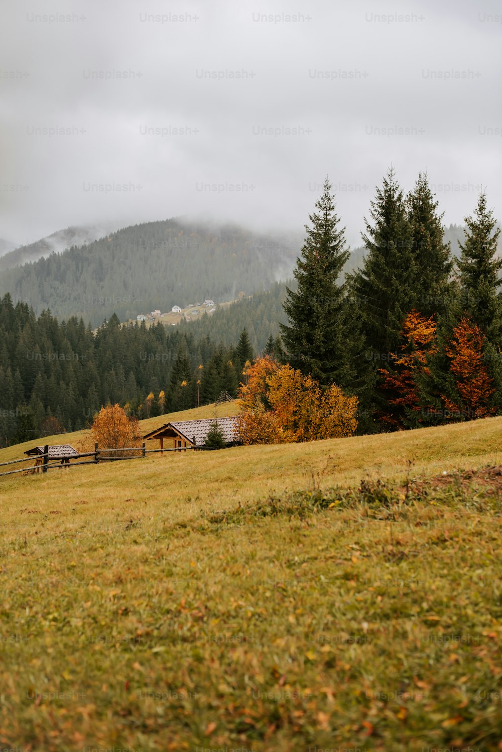 a grassy field with trees and mountains in the background