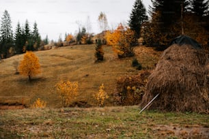 uma grande pilha de feno sentada no topo de uma colina verde exuberante