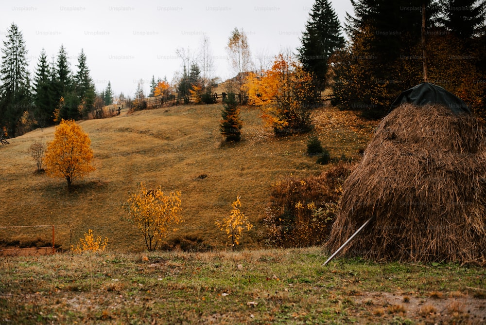 a large pile of hay sitting on top of a lush green hillside