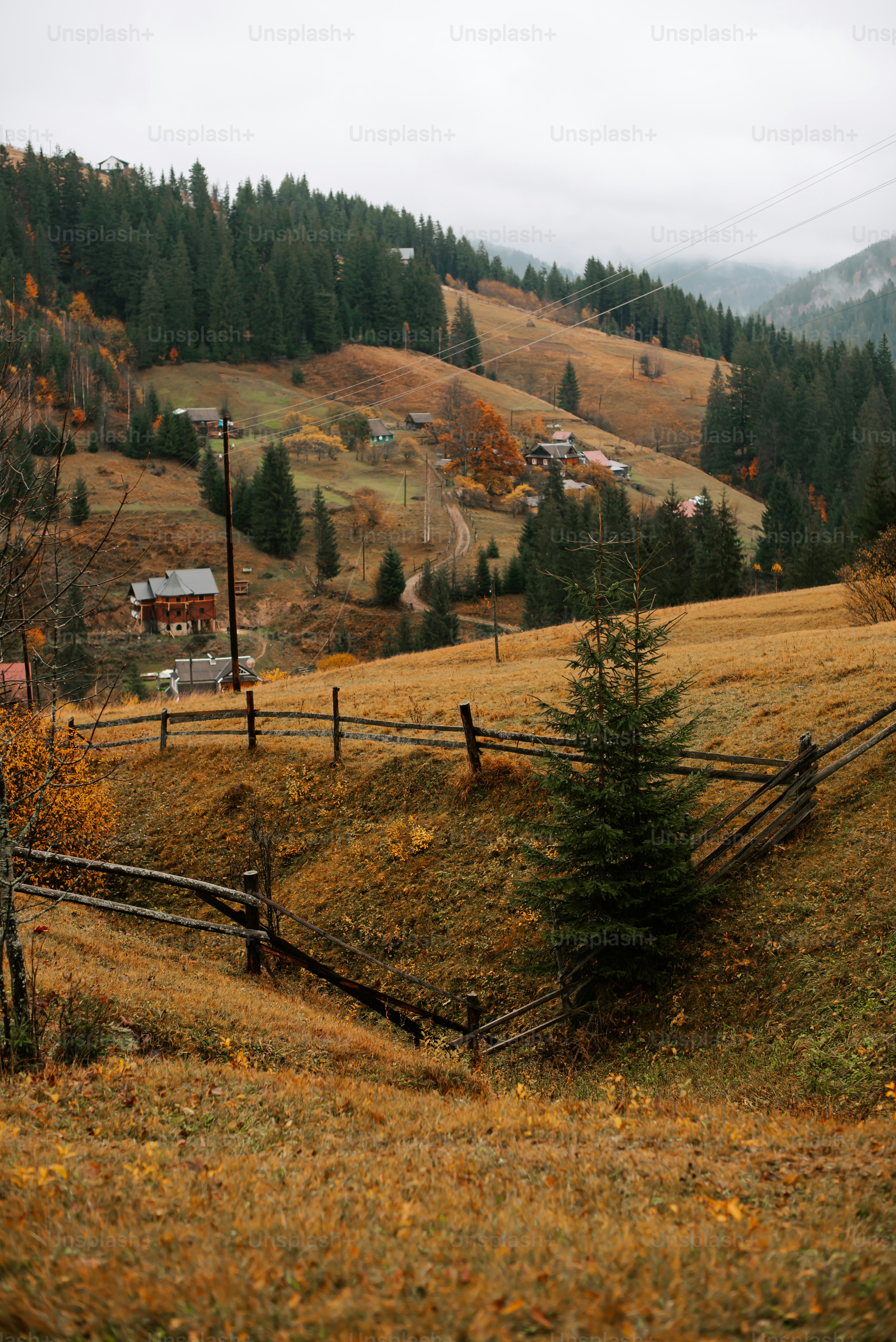 a field with a fence and a house in the distance