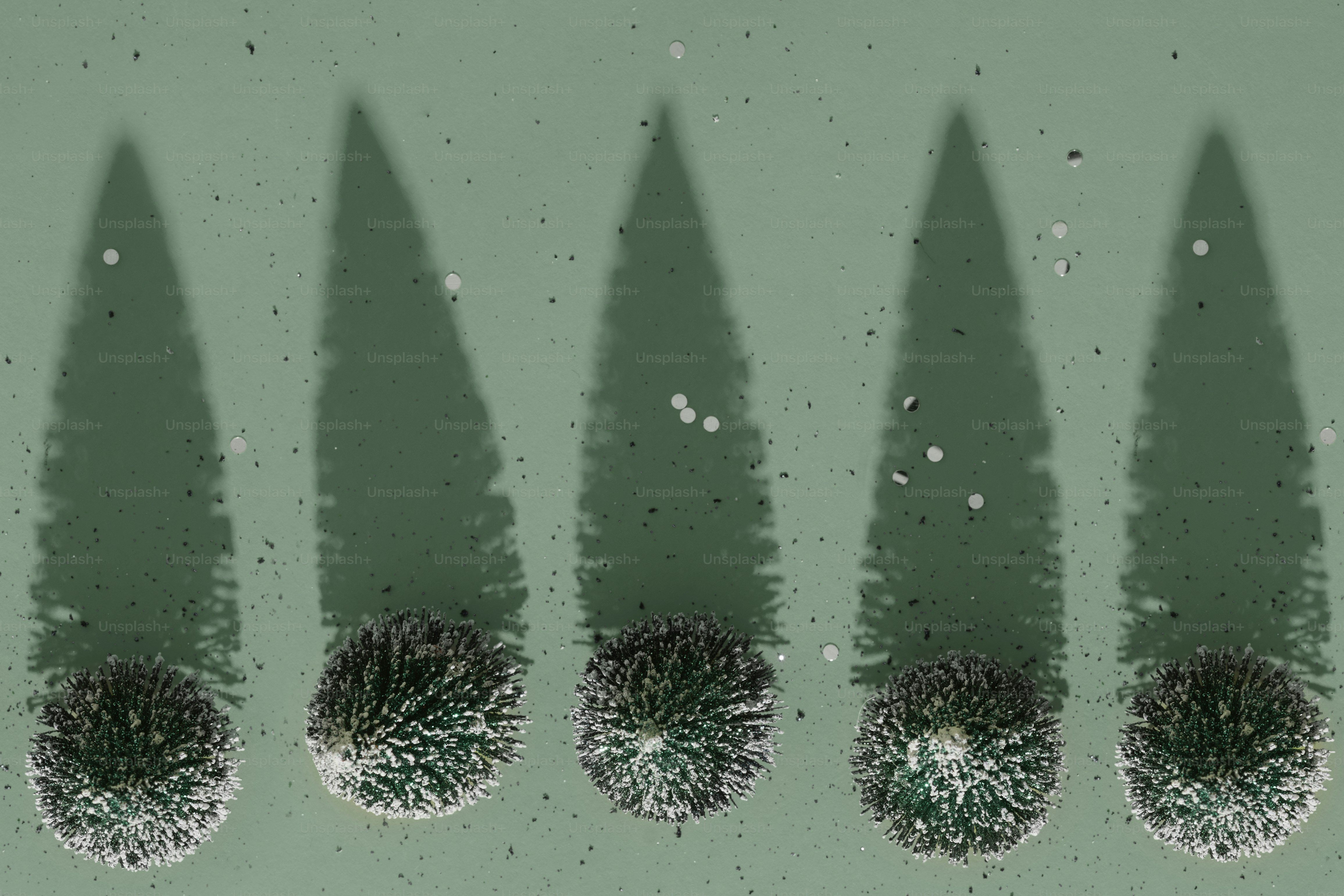 a group of trees casting a shadow on a wall