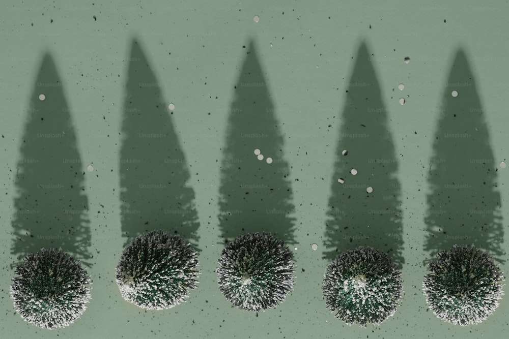 un groupe d’arbres projetant une ombre sur un mur