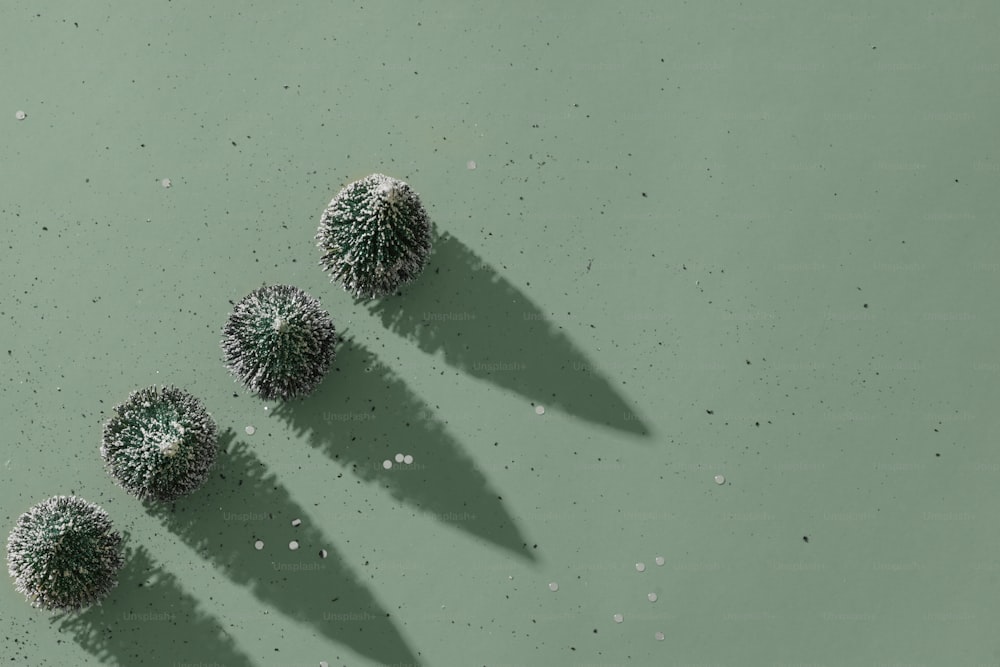 um grupo de três bolas verdes sentadas em cima de uma superfície verde