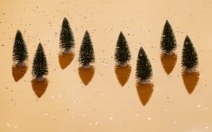 un gruppo di piccoli alberi seduti sopra un tavolo