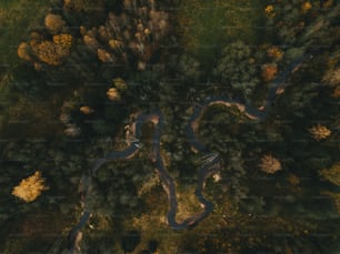 une vue aérienne d’une rivière qui traverse une forêt