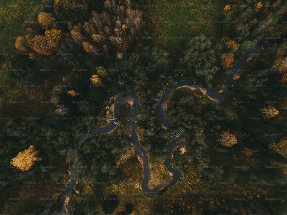 an aerial view of a river running through a forest