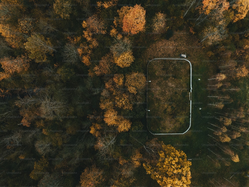 an aerial view of a soccer field surrounded by trees