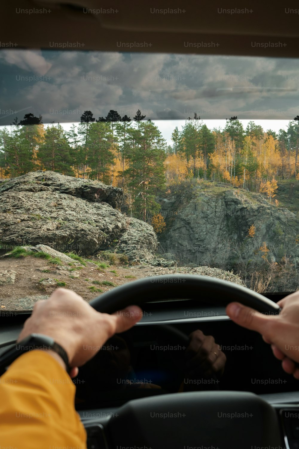 a person driving a car on a road near a forest