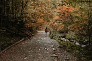 a person walking down a path in the woods